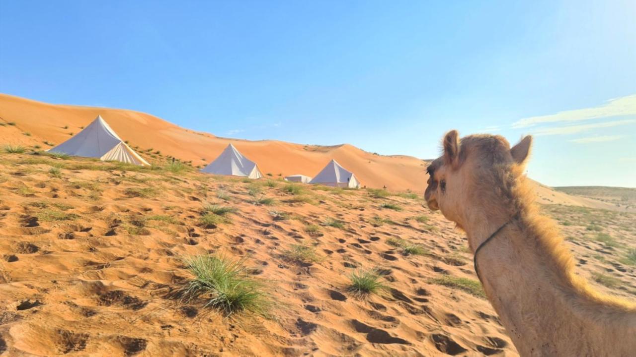 Desert Moments Glamping - Full Privacy Badīyah Exterior foto